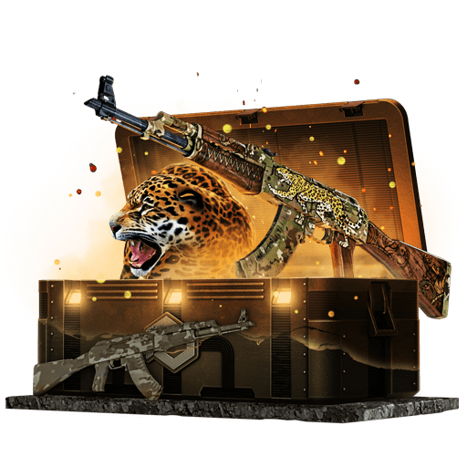 AK-47 Case